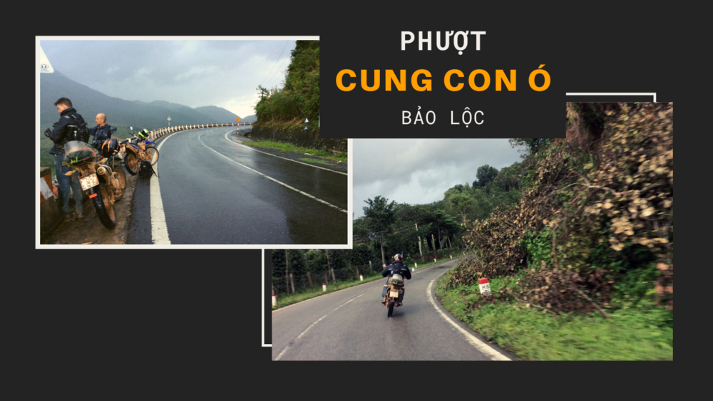 Cào Cào Off-road Cung Con Ó - Bảo Lộc